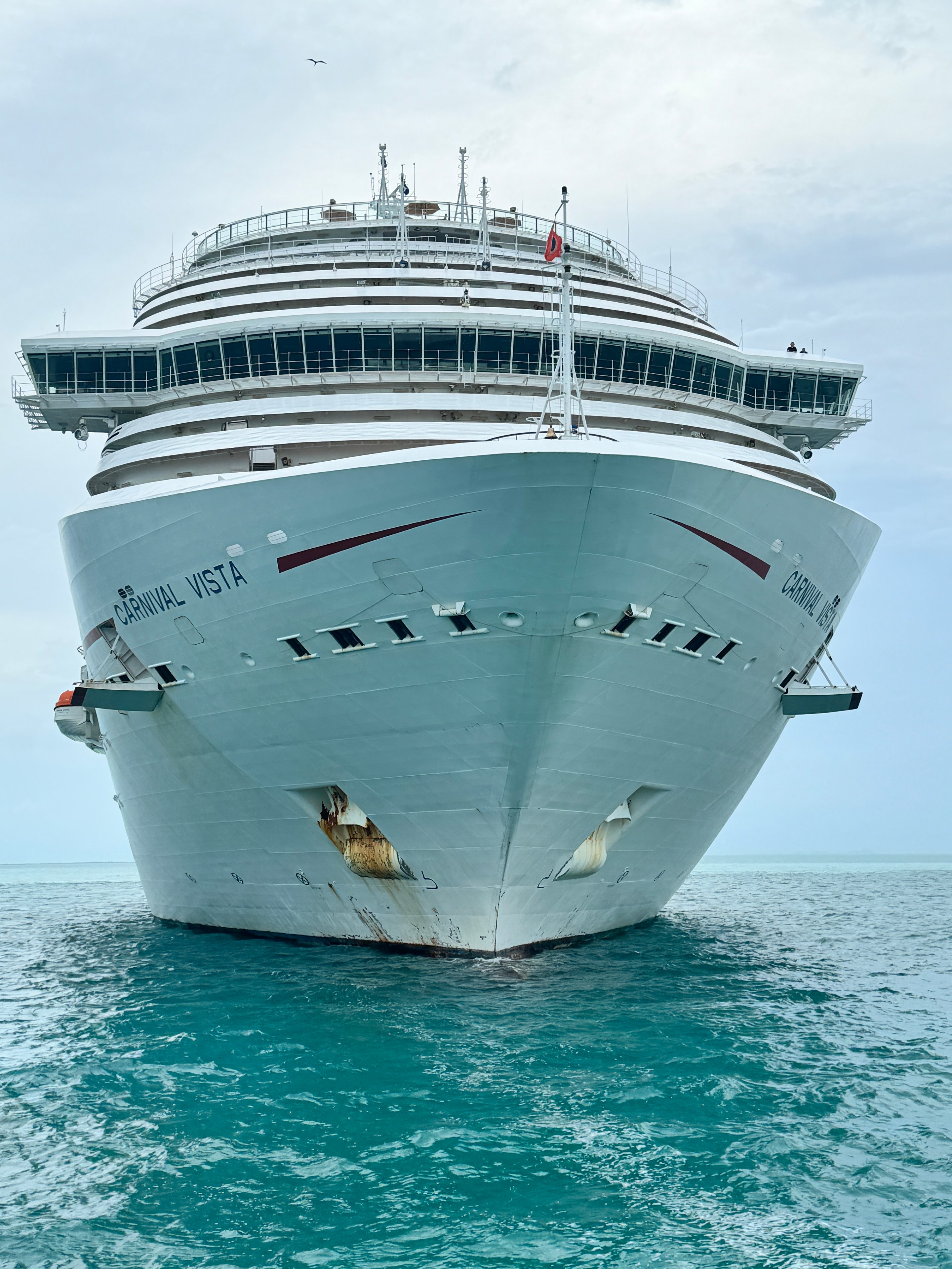 Carnival Vista cruise ship at sea