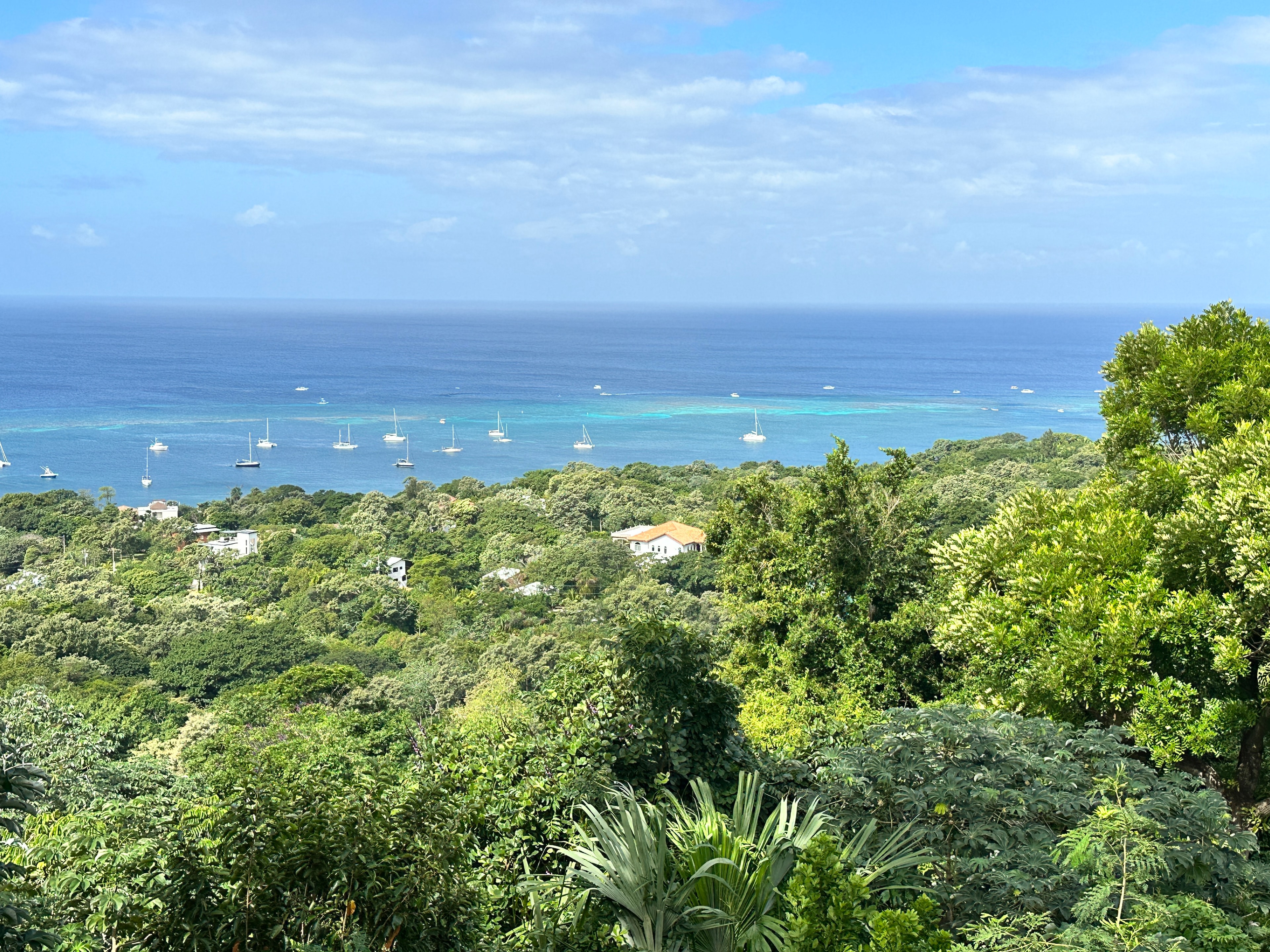 Scenic view of Roatan coastline